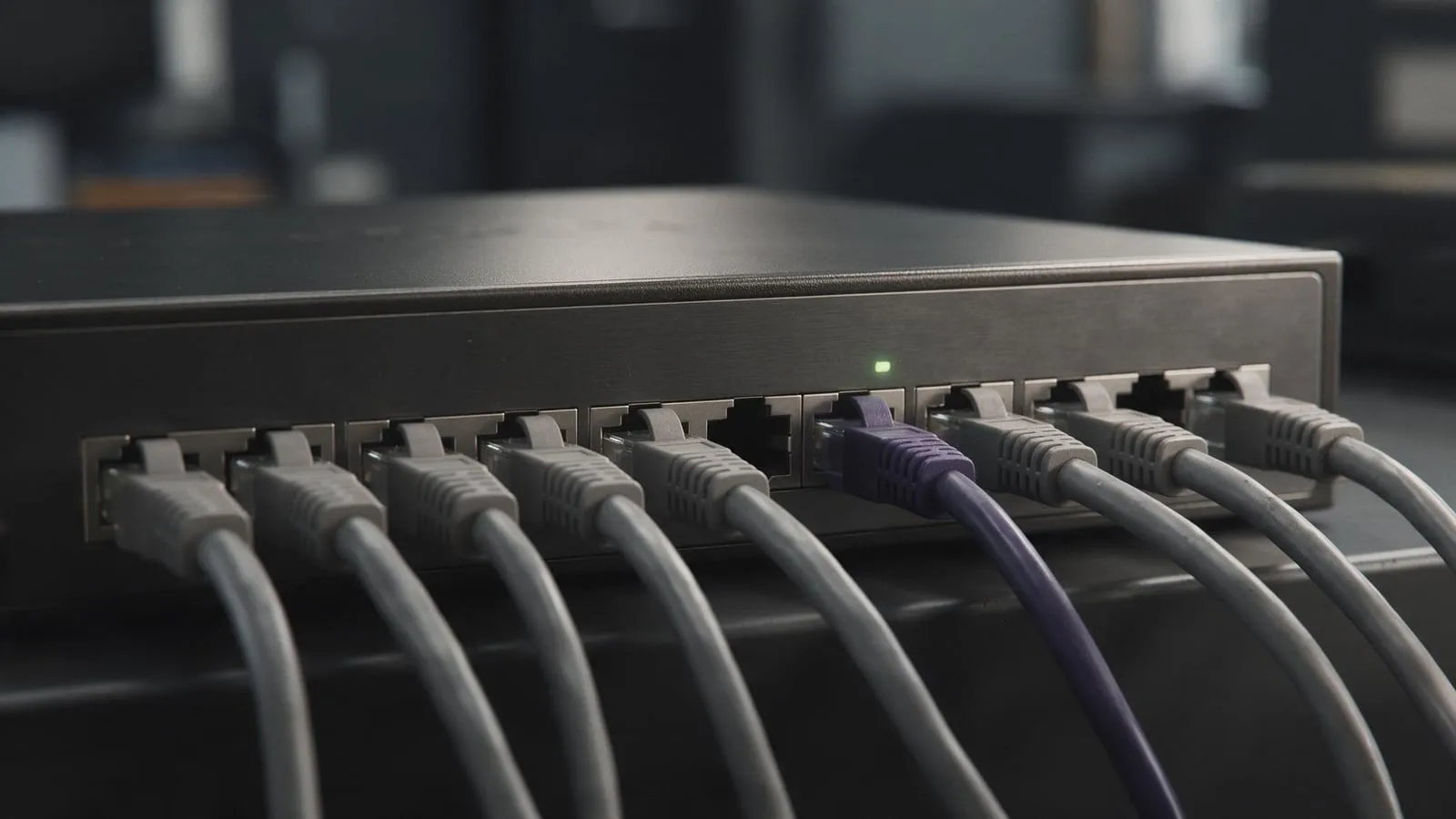 A small network router with one purple cable, macro